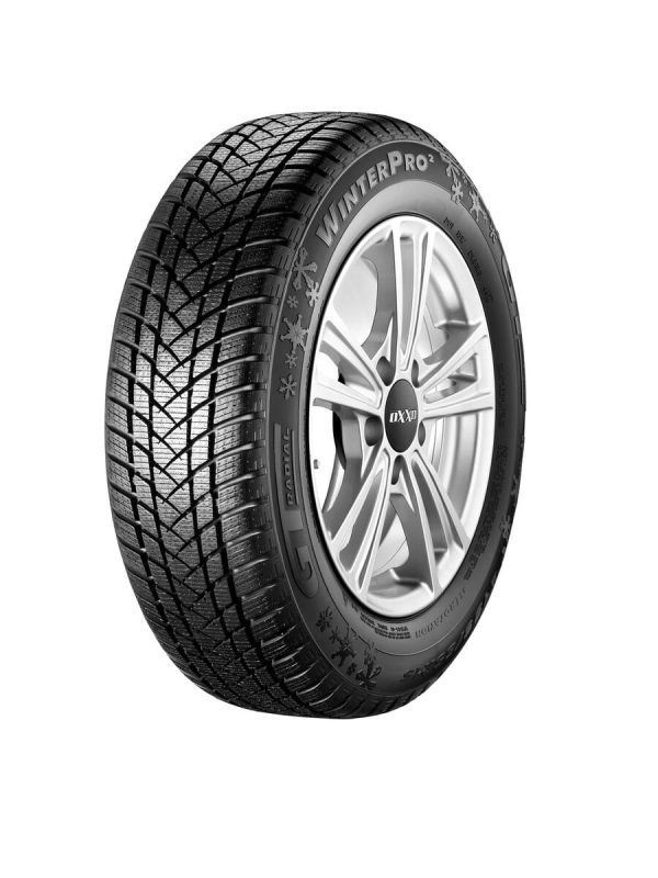 GT Radial WinterPro2 Banden 205/55 R16 91T