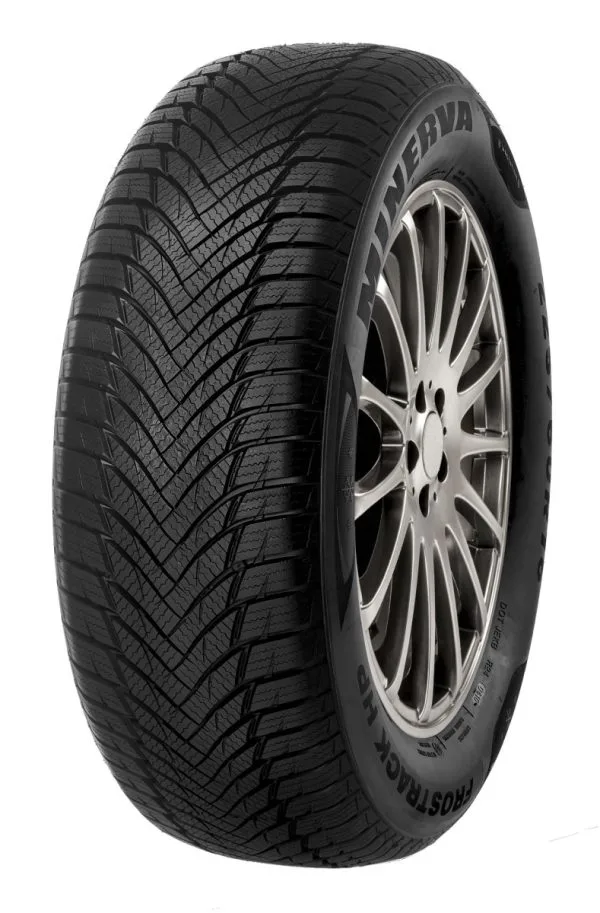 Minerva Frostrack HPBanden 195/55 R16 91V XL