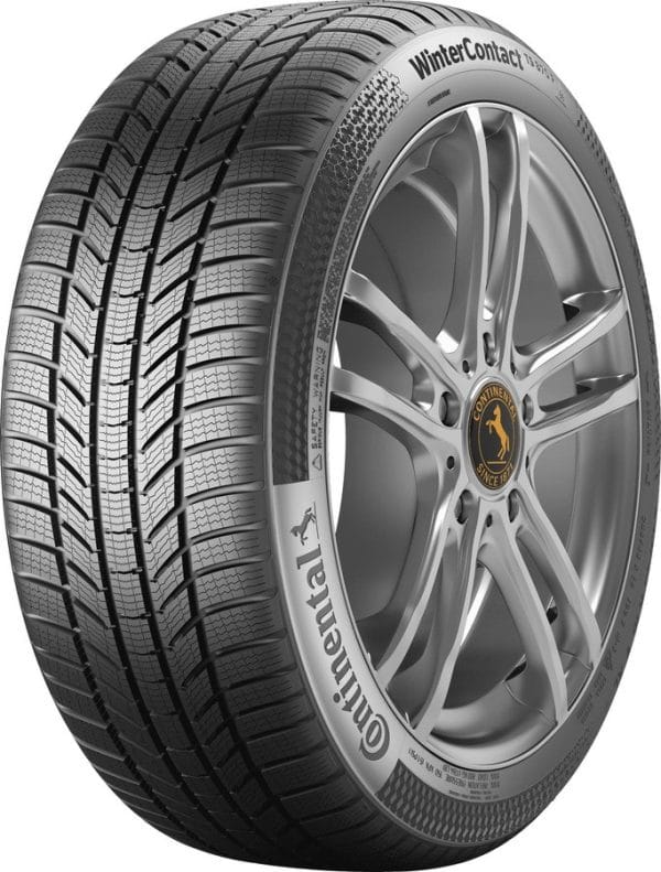 Continental WinterContact TS 870 PBanden 225/60 R16 102V XL